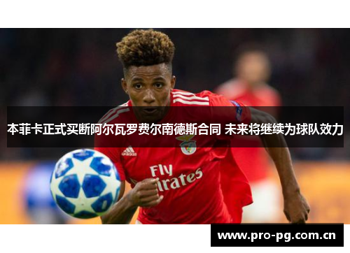 本菲卡正式买断阿尔瓦罗费尔南德斯合同 未来将继续为球队效力 本菲卡正式买断阿尔瓦罗费尔南德斯合同 未来将继续为球队效力
